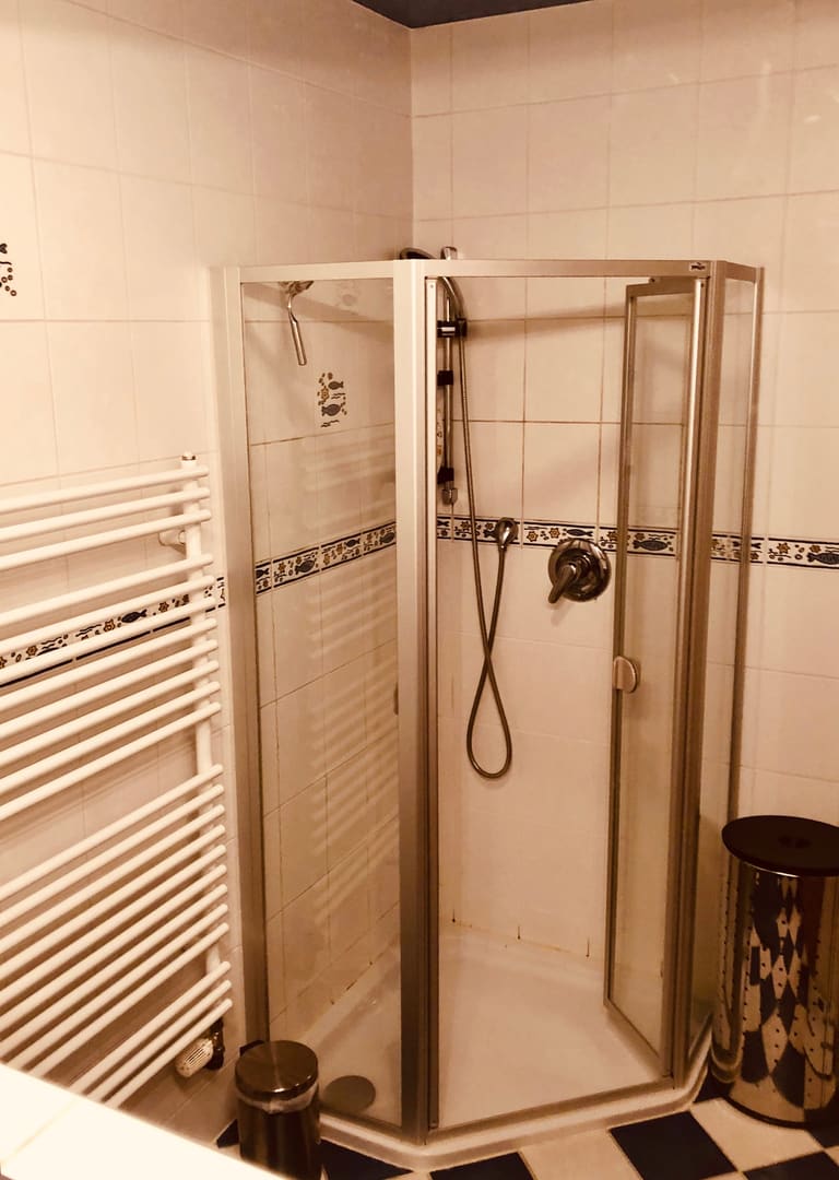 Corner shower with a glass door in the tiled bathroom