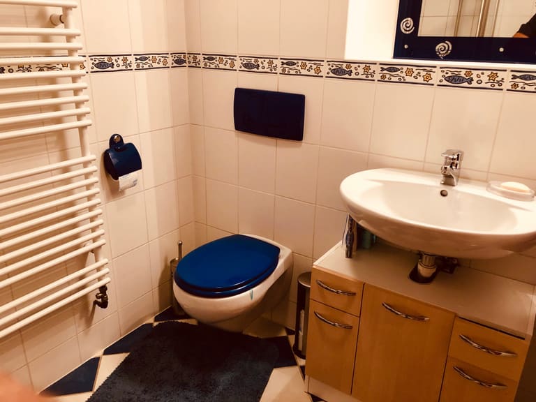 Bathroom with WC, washbasin, mirror and heated towel rail